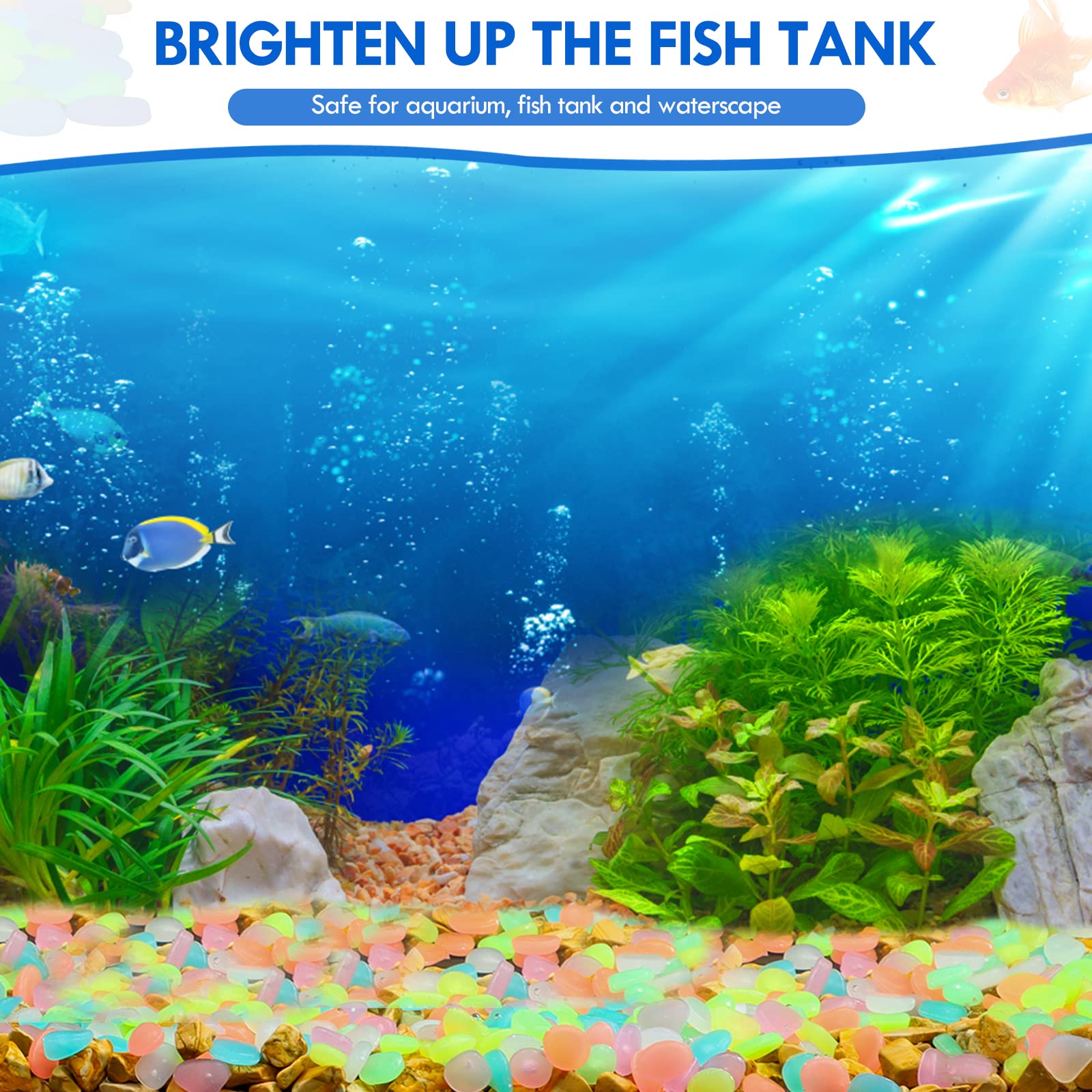 100 Stück im Dunkeln leuchtend – Fish Aquarium Home Bewertung und Preis