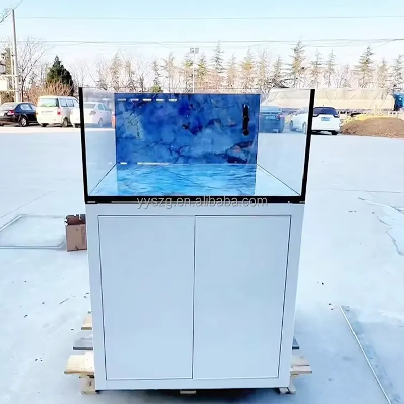 2,6 Fuß Quadratisches Rechteck – Aquarium Fish Restaurant Bewertung und Preis