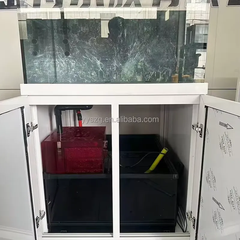 2,6 Fuß Quadratisches Rechteck – Aquarium Fish Restaurant Bewertung und Preis
