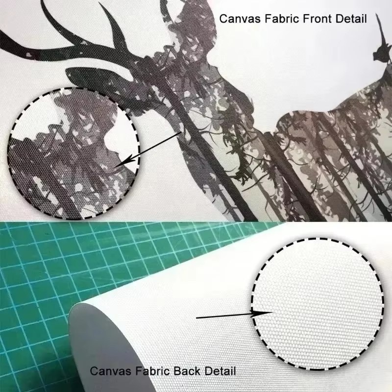 Grünes Matisse-Mädchen, Kaktus – Live Plant Fertilizer Bewertung und Preis