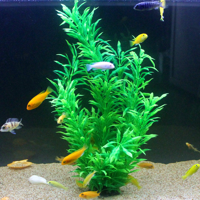 50CM Künstliche Aquarium Selte – Fish Aquarium Home Bewertung und Preis