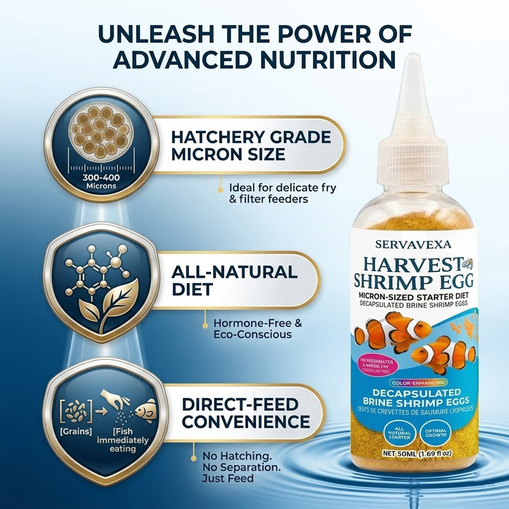 Hochwertiges Fischfutter für B – Fish Food Flake Bewertung und Preis