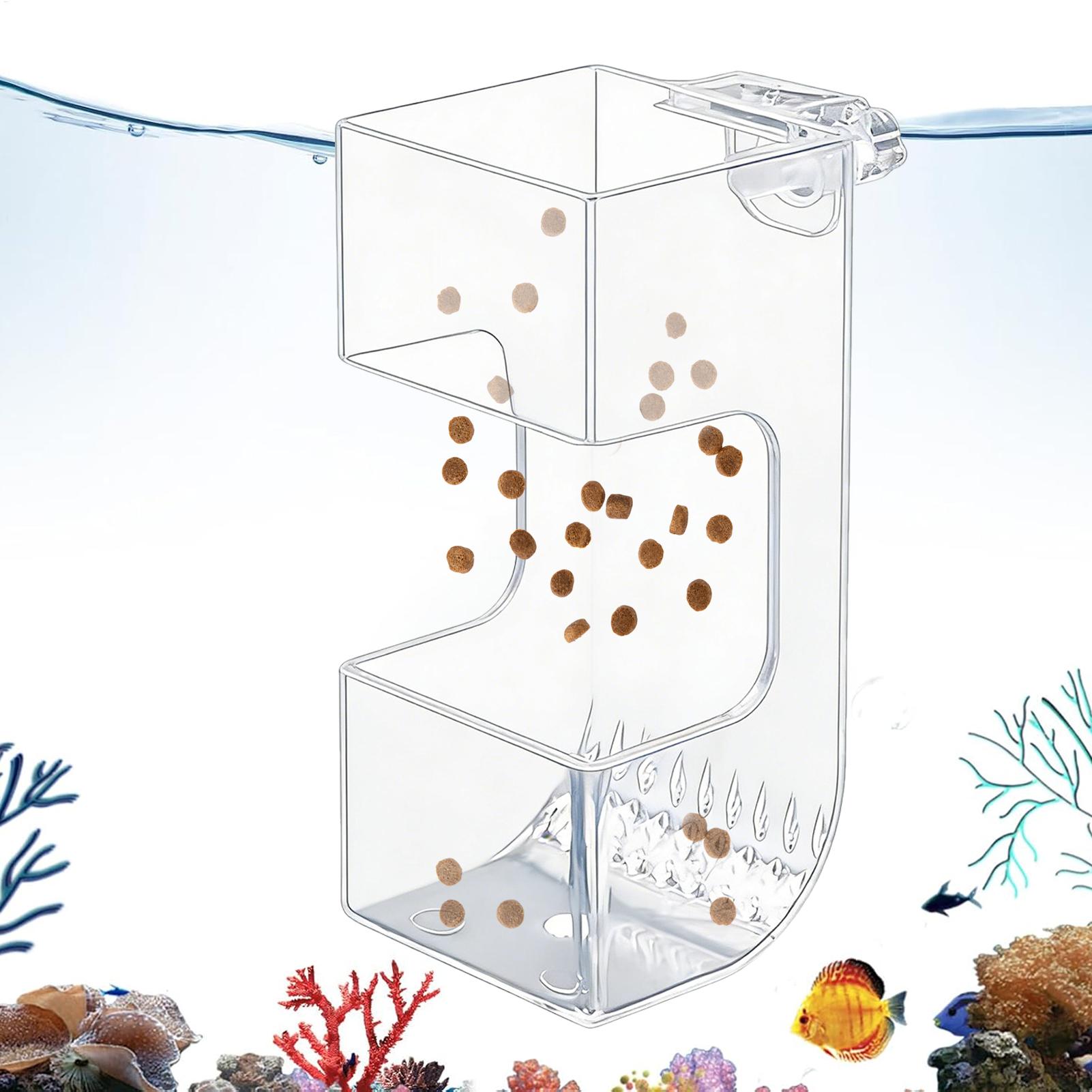 Transparente Futterbox für Aqu – Aquarium Fish Holiday Food Bewertung und Preis