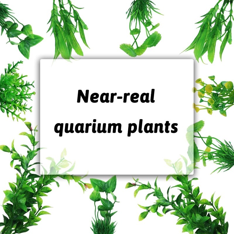 10/20 Stück Künstliche Aquarie – Aquarium Fish Green Bewertung und Preis